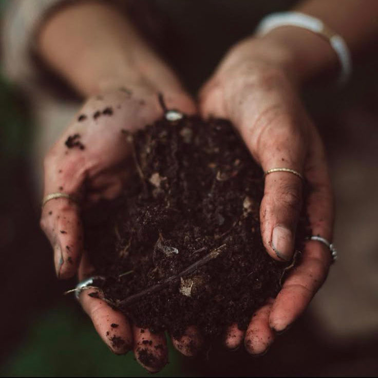 Why Your Kale (and Supplements) Are Empty: The Critical Link Between Soil and Cellular Health